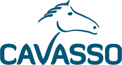 feelsen-logos-clients_0008_logo-client-cavasso